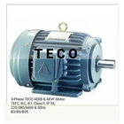 TECO Motor 3phase 2