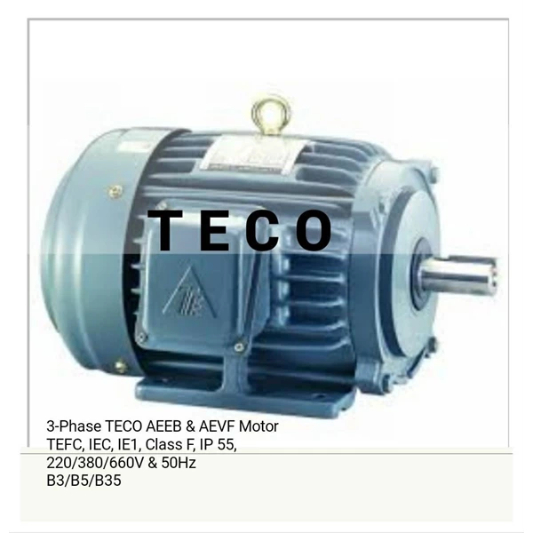 Teco AC Standard Motors