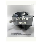 Explosion proof motor AEG 1