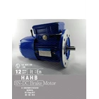 Brake Motor DC HAHB 1