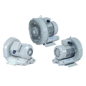 Ring blower